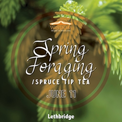 Survival: Spring Foraging/Spruce Tip Tea B - Lethbridge